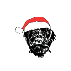 boule-de-noel-griffon-dans-sa-boite-cadeau@isartatelier
