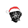 boule-de-noel-griffon-dans-sa-boite-cadeau@isartatelier