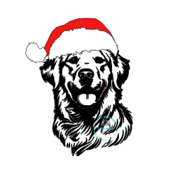 boule-de-noel-golden-retriever-dans-sa-boite-cadeau@isartatelier