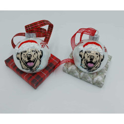 boule-de-noel-golden-retriever-dans-sa-boite-cadeau@isartatelier